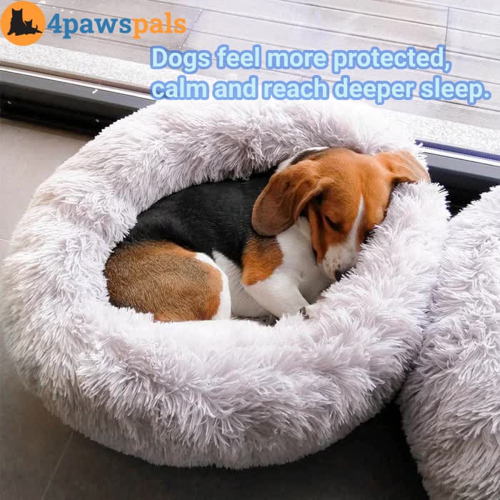 Calming Bed for Dogs