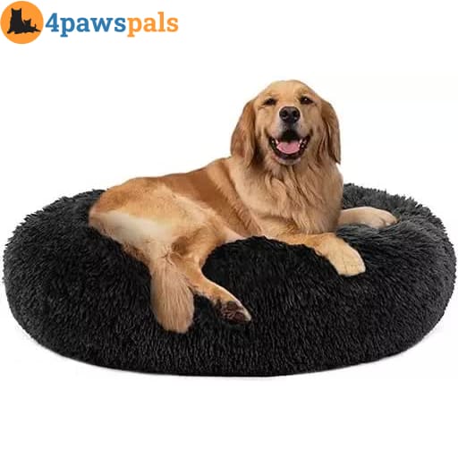 Calming Bed for Dogs